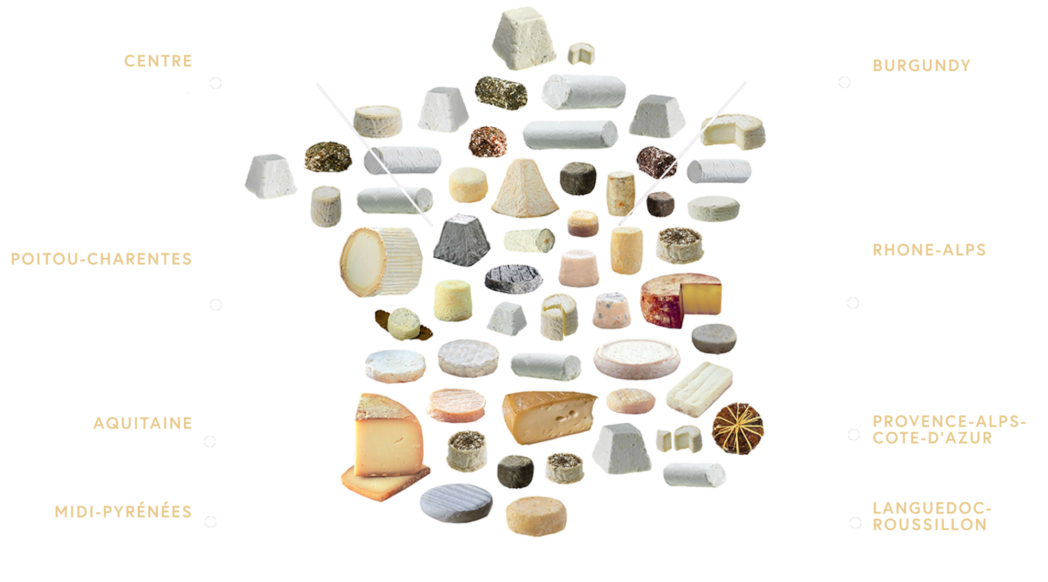 Cheeses_Graphic Cheeses_Graphic